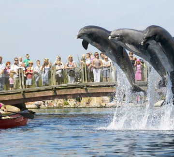 Dolfinarium