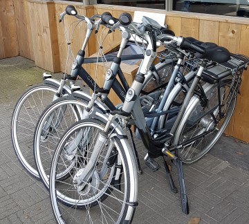 Bike rental