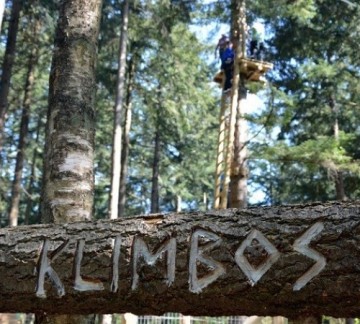 Klimbos Veluwe