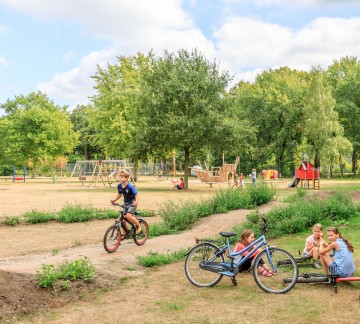 Playground and Sports Field