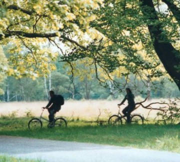 Cycling