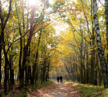 Wandelen