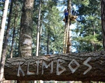 Klimbos Veluwe