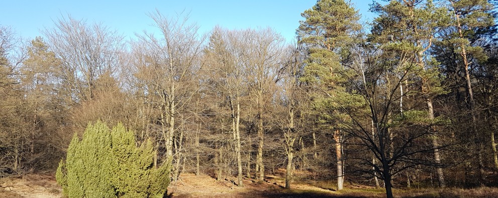 20190215_154726.jpg