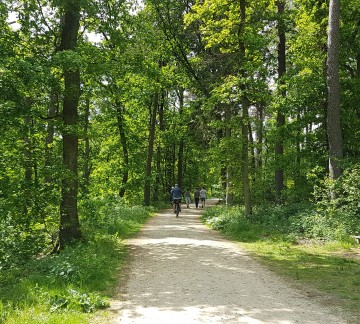 Eindeloos fietsen