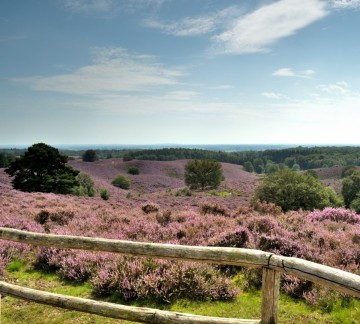 Nationaal park Veluwezoom