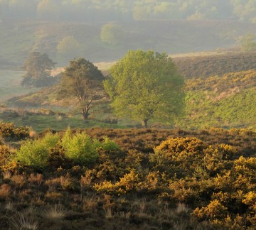 Nationaal Park De Hoge Veluwe